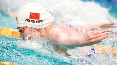 从数据上看 从数据上看