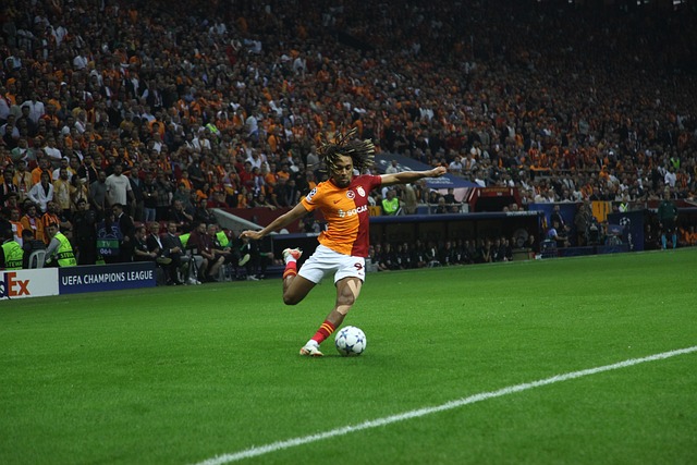 队展示了完 队展示了完