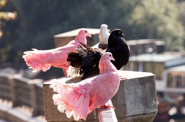 无论是在直 无论是在直
