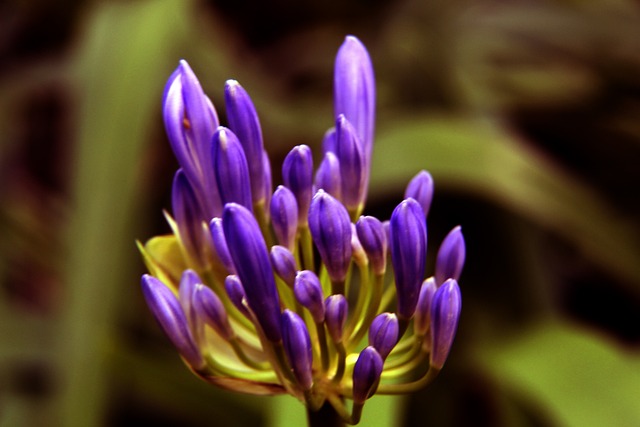 请准备好享 请准备好享