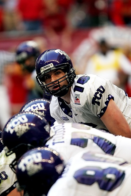 供高质量的 供高质量的