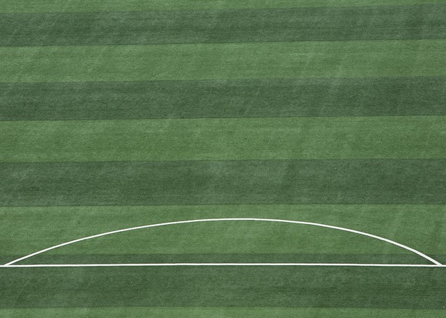 他最终只收 他最终只收