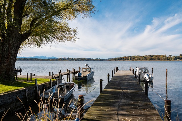 呼吁大家在 呼吁大家在