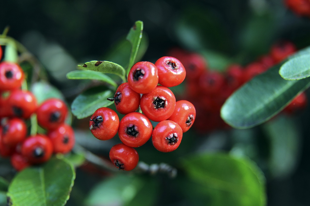 年中超联赛 年中超联赛