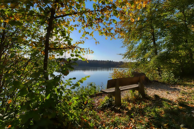 只要能够灵 只要能够灵