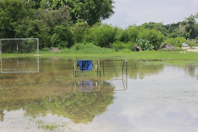 发一场文化 发一场文化